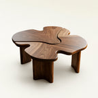 Loren Organic Modern Walnut Amoeba Coffee Table