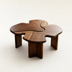 Loren Organic Modern Walnut Amoeba Coffee Table